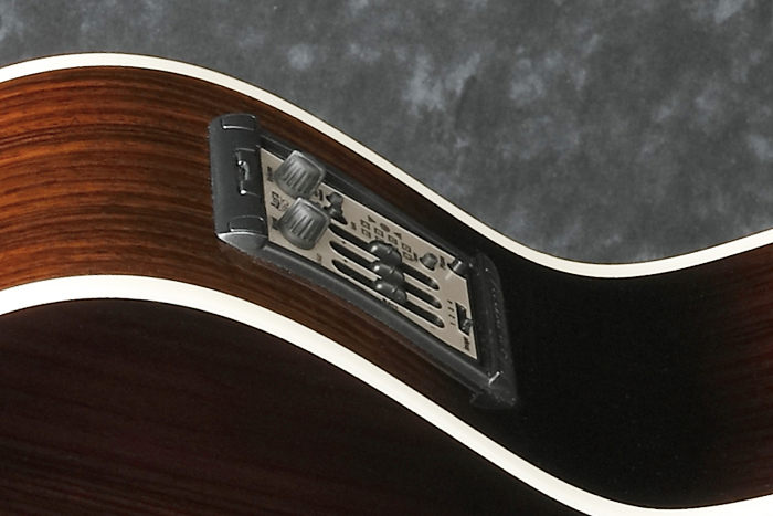 Fishman Aura Pro preamp w/Onboard tuner & Joe Satriani Original preset sound