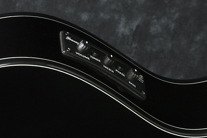 Fishman S-Core Pickup and Ibanez AEQ210TF