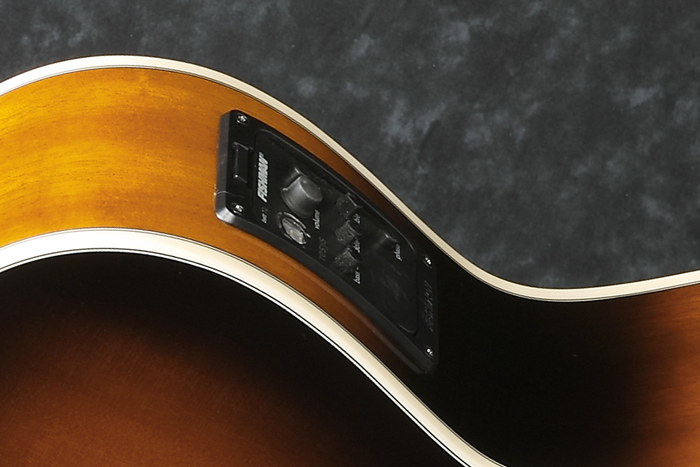 Fishman S-Core Pickup with Fishman Presys&trade; Preamp