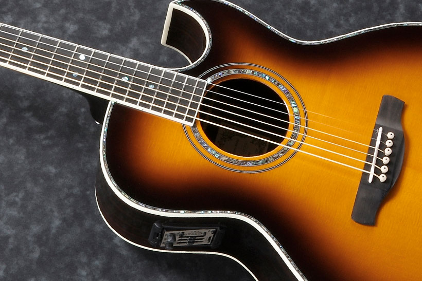 Ebony fretboard & bridge