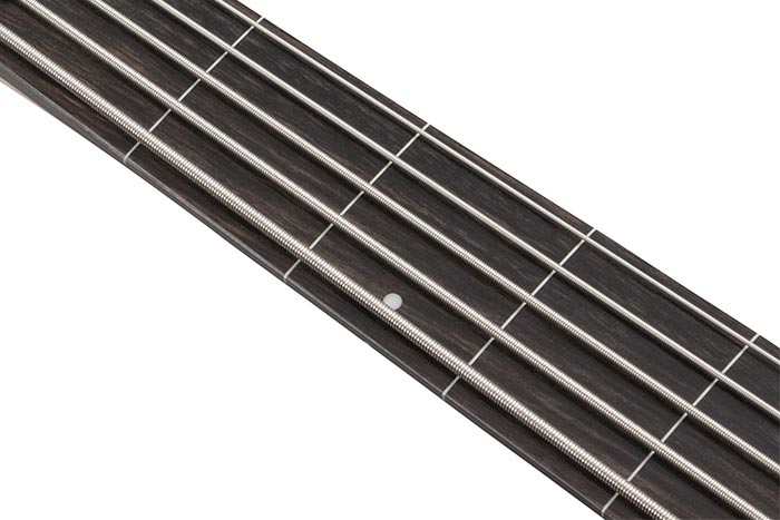Ebony fretboard