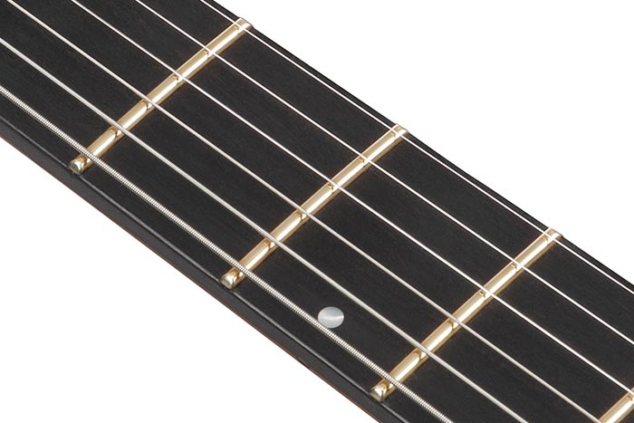 Jumbo Jescar EVOgold&trade; frets