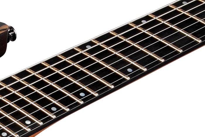 Ebony fretboard