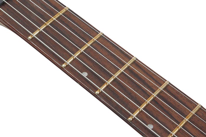 Rosewood fretboard