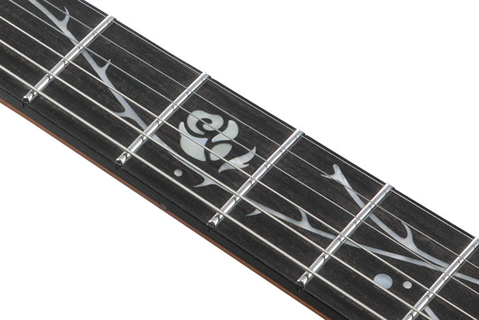 Ebony fretboard