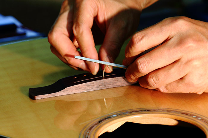 Ibanez T-bar Undersaddle pickup