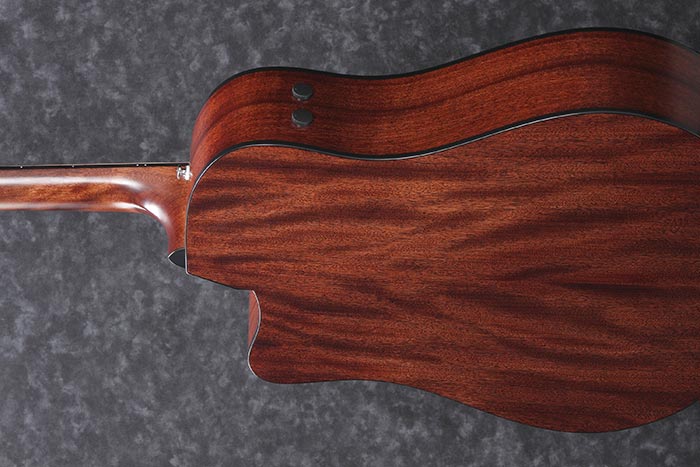 Back of the AAD170CE-LGS's body