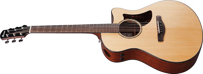 Entire top of the  AAM300CE-NT