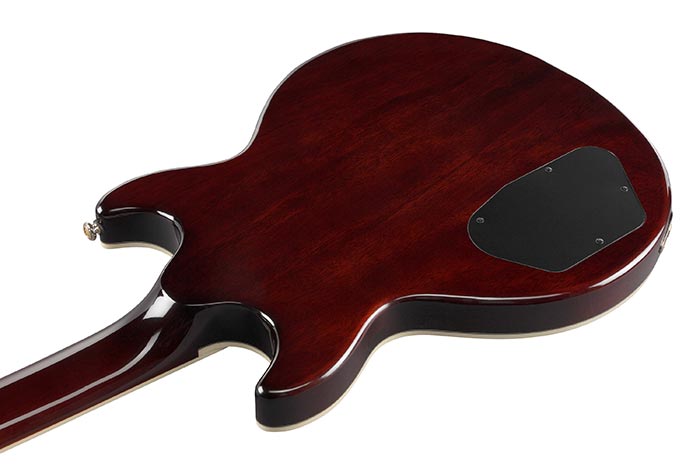 Back of the AR520HFM-LBB's body