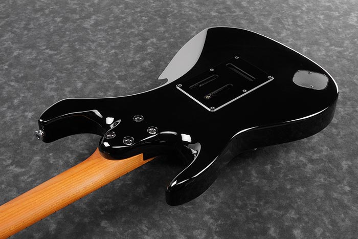 Back of the AZ2204B-BK's body