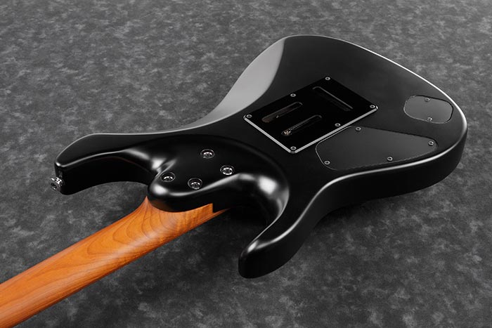 Back of the AZ2402-BKF's body