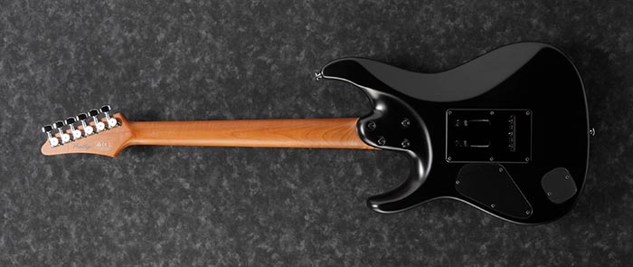 Entire back of the AZ2402-BKF