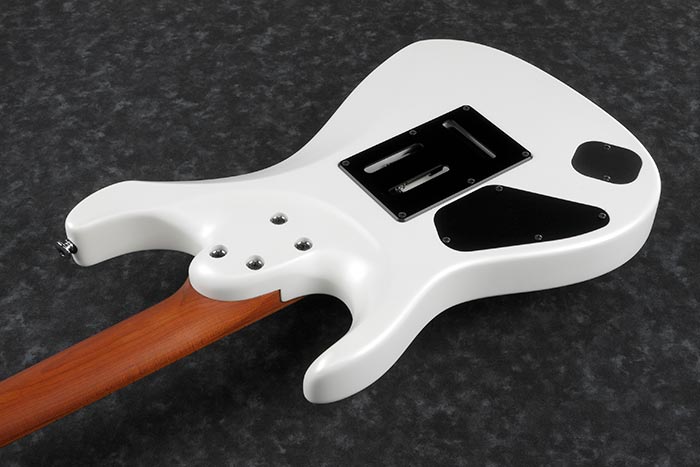 Entire back of the AZ2402