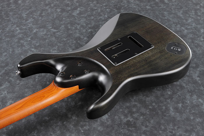 Back of the EH10-TGM's body