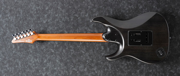 Entire back of the EH10-TGM