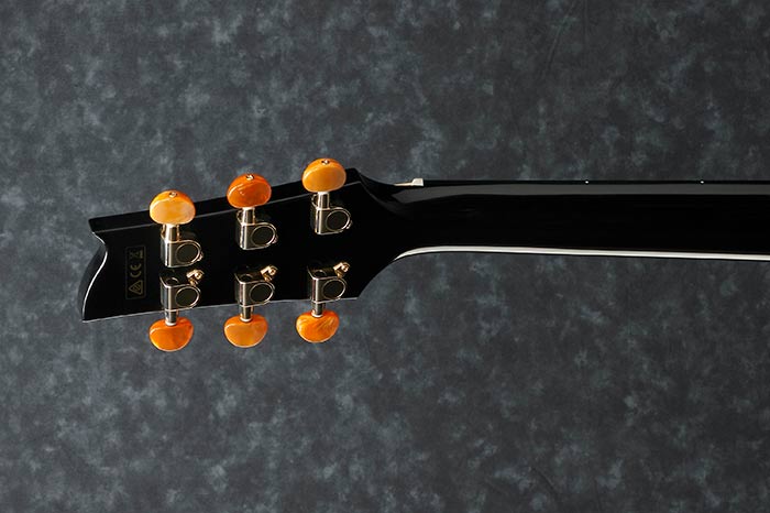 Back of the EP5-BP's headstock