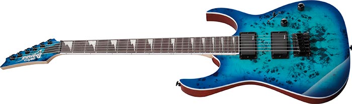 Entire top of the GRGR221PA-AQB