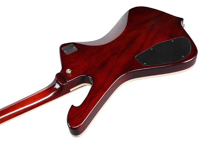 Back of the IC420FM-VLS's body