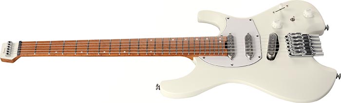 Entire top of the ICHI10-VWM