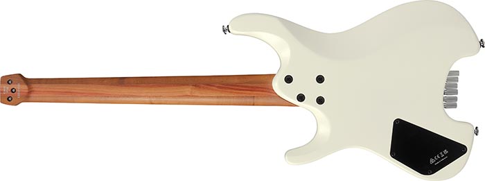 Entire back of the ICHI10-VWM