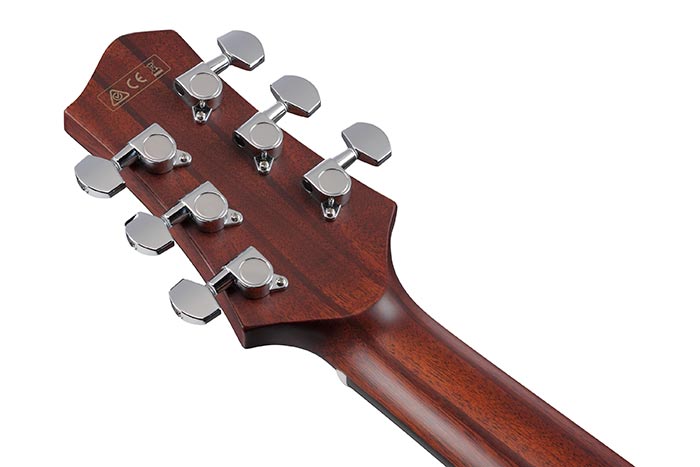 Back of the JGM10-BSN's headstock