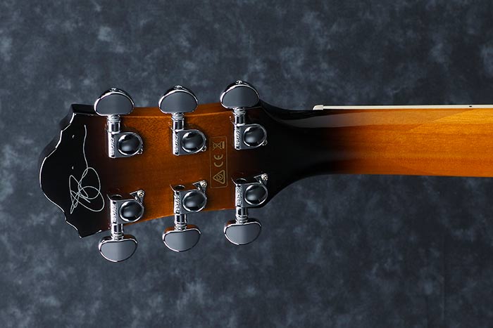 Back of the JSA5-VB's headstock