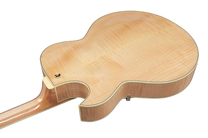 Back of the LGB30-NT's body