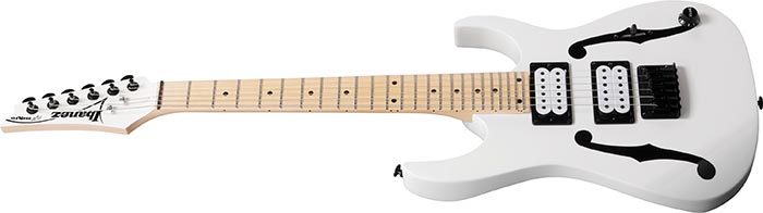 Entire top of the PGMM31-WH