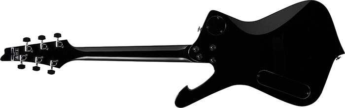 Entire back of the  PSM10-BK