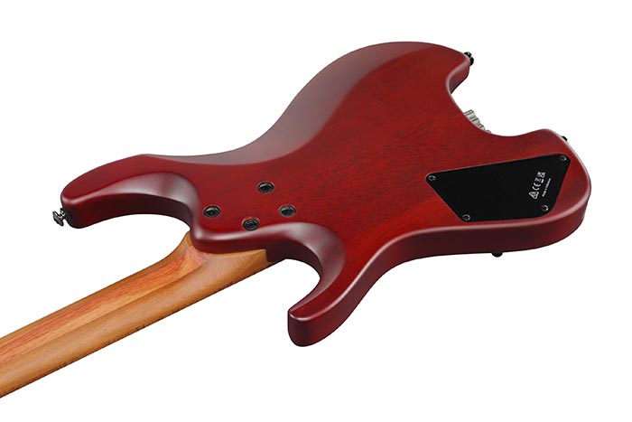 Back of the QX54QM-BSM's body