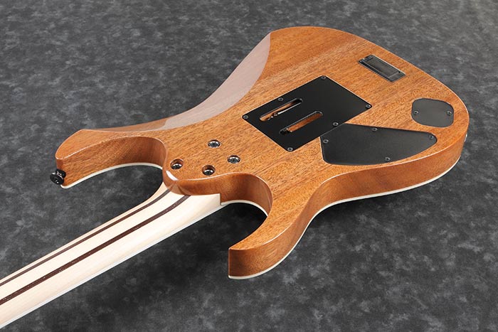 Back of the RG5120M-FCN's body