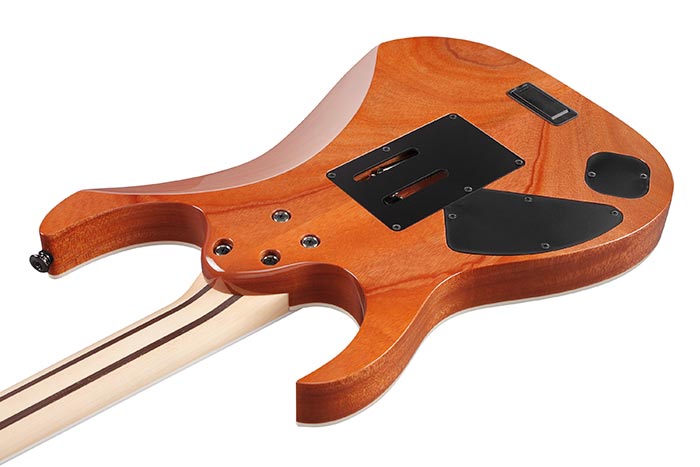 Back of the RG5120M-PRT's body