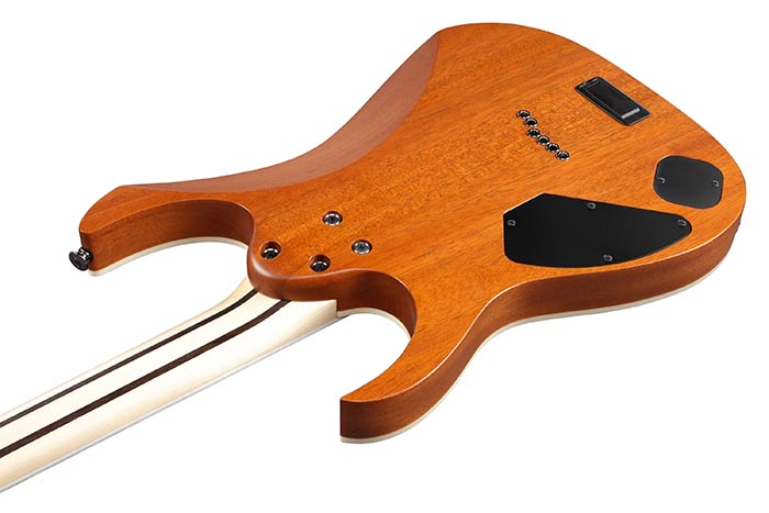 Back of the RG5121-BCF's body