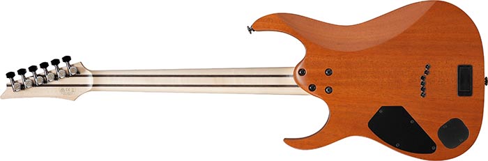 Entire back of the RG5121-BCF