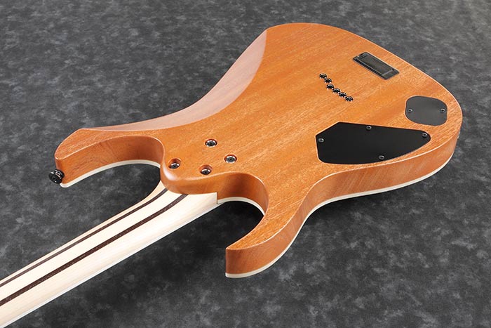 Back of the RG5121-DBF's body