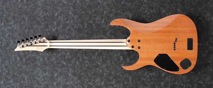 Entire back of the RG5121-DBF