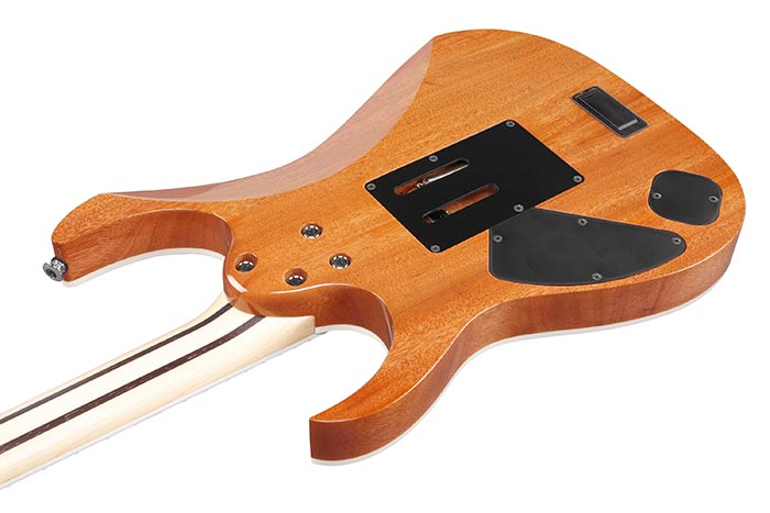 Entire back of the RG5440C