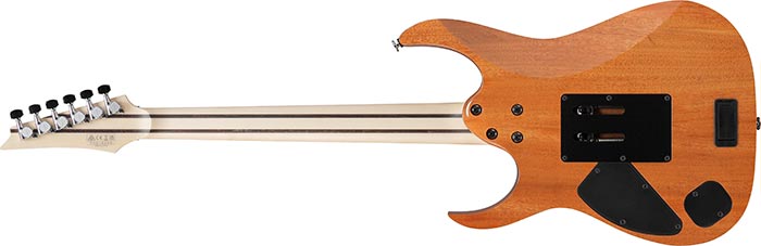 Entire back of the RG5440C-DFM