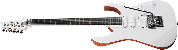 Entire top of the RG5440C-PW