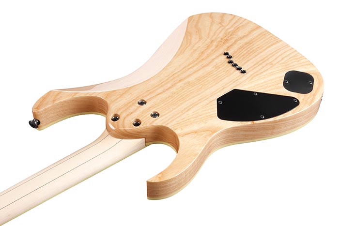 Back of the RG652AHMFX-RPB's body