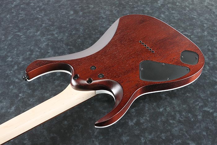 Entire back of the RGA42FM