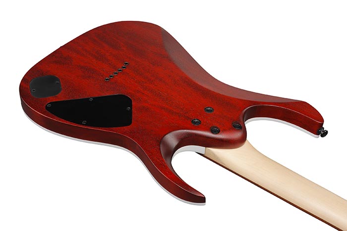 Entire back of the RGA42FML