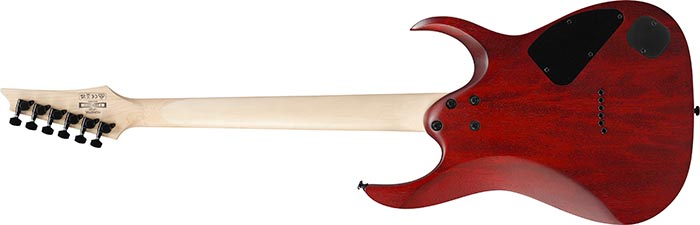 Entire back of the RGA42FML-TGF