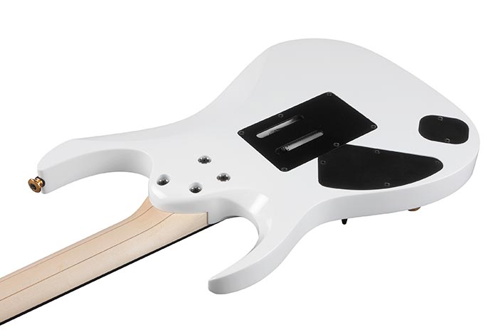 Entire back of the RGA622XH