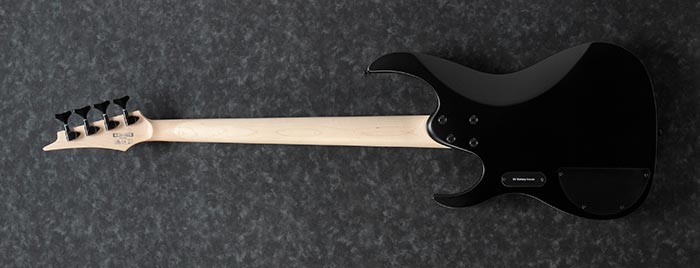 Entire back of the RGB300-BKF