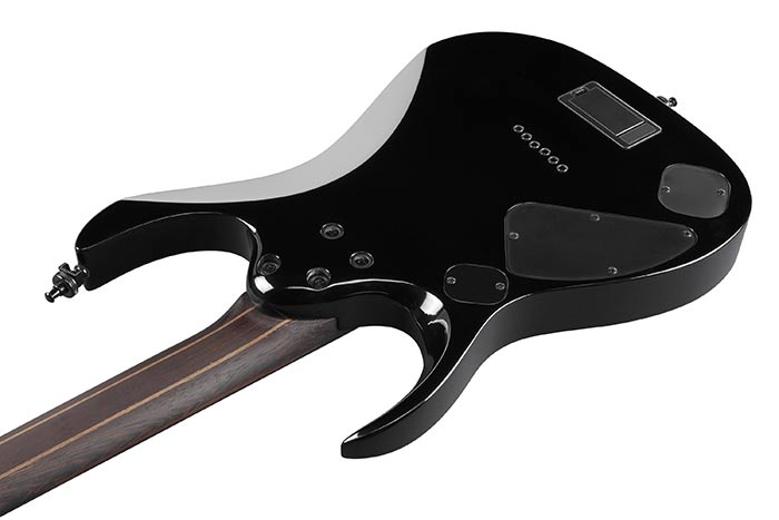 Back of the RGD61ALA-MTR's body