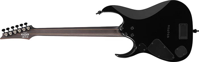 Entire back of the RGD61ALA-MTR