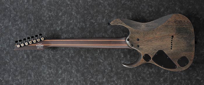 Entire back of the RGD71ALPA-CKF