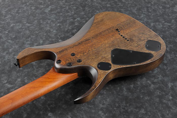 Back of the RGD7521PB-DSF's body