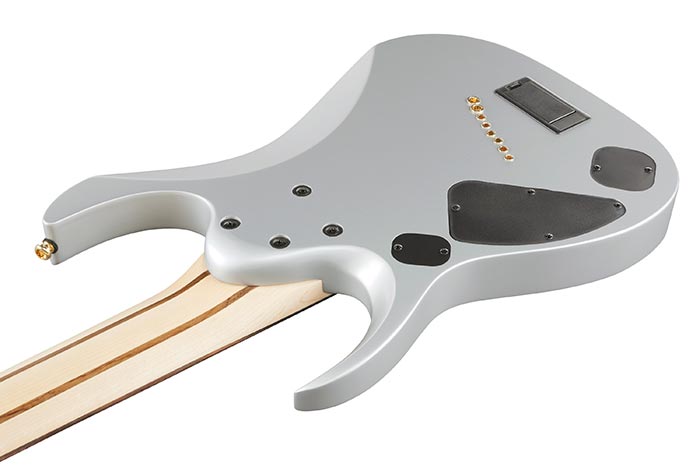 Back of the RGDMS8-CSM's body